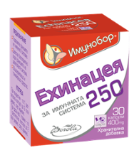 Имунобор Ехинацея